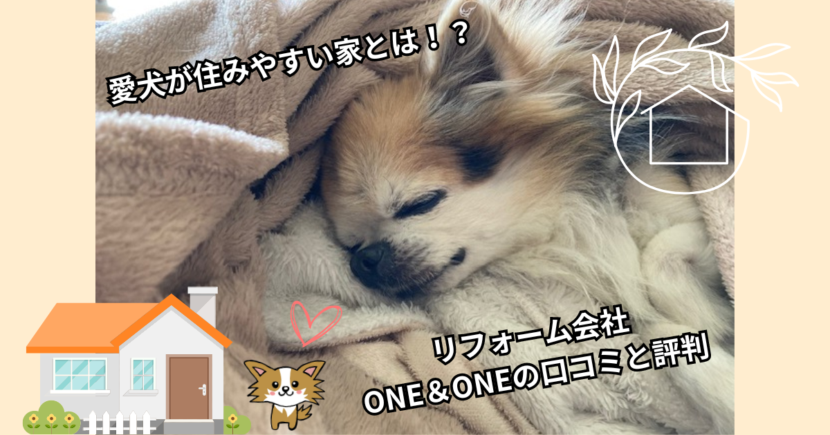 愛犬が住みやすい家とは！？リフォーム会社ONE＆ONEの口コミと評判